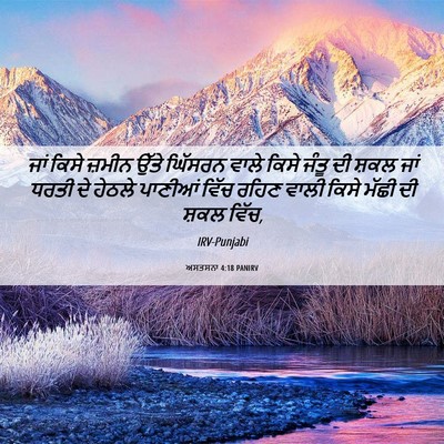 Picture 06 - ਅਸਤਸਨਾ 4:18 PANIRV - ਜਾਂ ਕਿਸੇ ਜ਼ਮੀਨ - Bible Verse Picture