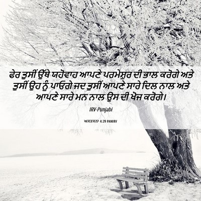 Picture 06 - ਅਸਤਸਨਾ 4:29 PANIRV - ਫੇਰ ਤੁਸੀਂ ਉੱਥੇ - Bible Verse Picture