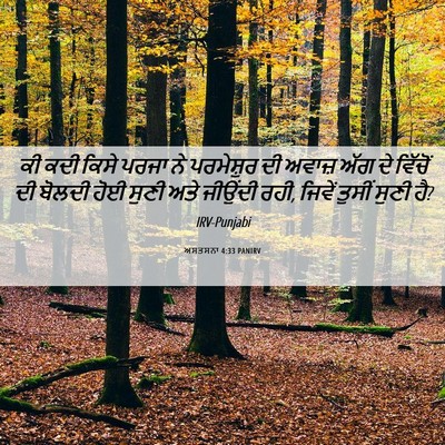 Picture 06 - ਅਸਤਸਨਾ 4:33 PANIRV - ਕੀ ਕਦੀ ਕਿਸੇ ਪਰਜਾ ਨੇ - Bible Verse Picture
