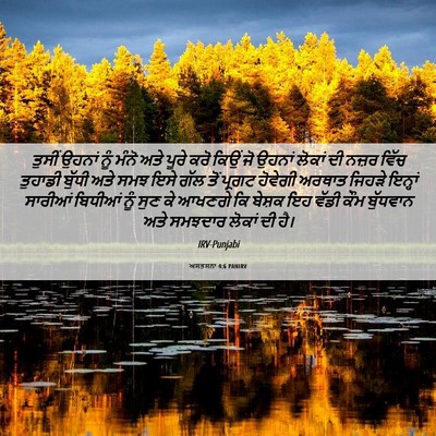 Picture 06 - ਅਸਤਸਨਾ 4:6 PANIRV - ਤੁਸੀਂ ਉਹਨਾਂ ਨੂੰ - Bible Verse Picture