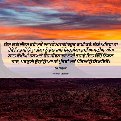Picture 06 - ਅਸਤਸਨਾ 4:9 PANIRV - ਇਸ ਲਈ ਚੌਕਸ ਰਹੋ ਅਤੇ - Bible Verse Picture