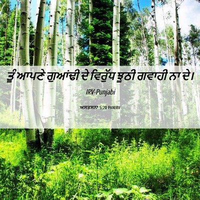 Picture 06 - ਅਸਤਸਨਾ 5:20 PANIRV - ਤੂੰ ਆਪਣੇ ਗੁਆਂਢੀ ਦੇ - Bible Verse Picture