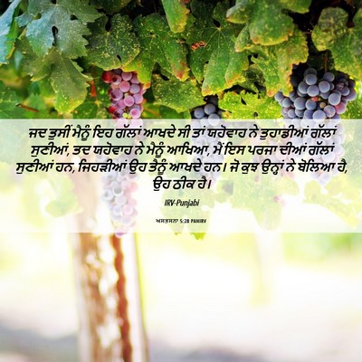 Picture 06 - ਅਸਤਸਨਾ 5:28 PANIRV - ਜਦ ਤੁਸੀਂ ਮੈਨੂੰ ਇਹ - Bible Verse Picture