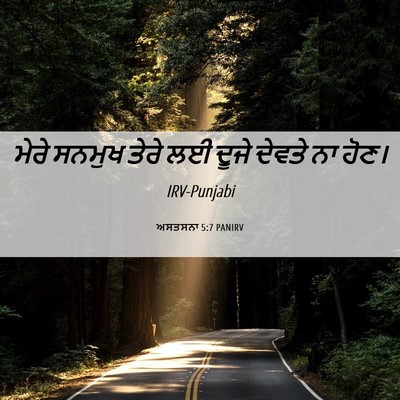 Picture 06 - ਅਸਤਸਨਾ 5:7 PANIRV - ਮੇਰੇ ਸਨਮੁਖ ਤੇਰੇ ਲਈ - Bible Verse Picture