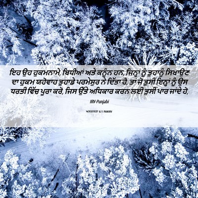 Picture 06 - ਅਸਤਸਨਾ 6:1 PANIRV - ਇਹ ਉਹ ਹੁਕਮਨਾਮੇ, - Bible Verse Picture