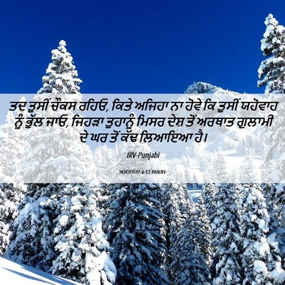 Picture 06 - ਅਸਤਸਨਾ 6:12 PANIRV - ਤਦ ਤੁਸੀਂ ਚੌਕਸ ਰਹਿਓ, - Bible Verse Picture