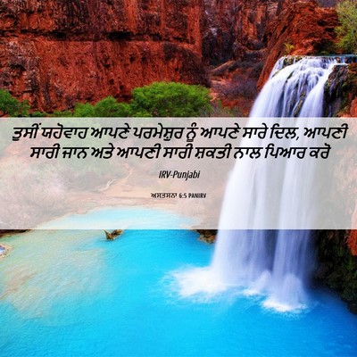 Picture 06 - ਅਸਤਸਨਾ 6:5 PANIRV - ਤੁਸੀਂ ਯਹੋਵਾਹ ਆਪਣੇ - Bible Verse Picture