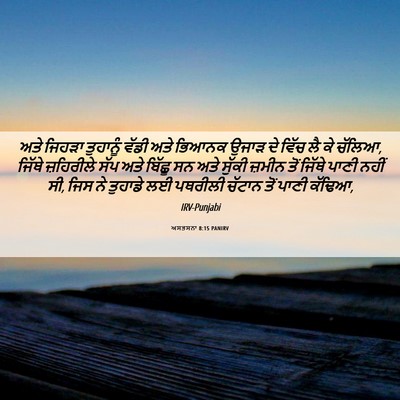 Picture 06 - ਅਸਤਸਨਾ 8:15 PANIRV - ਅਤੇ ਜਿਹੜਾ ਤੁਹਾਨੂੰ - Bible Verse Picture