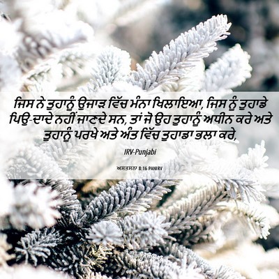 Picture 06 - ਅਸਤਸਨਾ 8:16 PANIRV - ਜਿਸ ਨੇ ਤੁਹਾਨੂੰ - Bible Verse Picture
