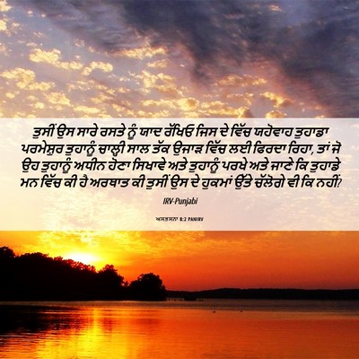 Picture 06 - ਅਸਤਸਨਾ 8:2 PANIRV - ਤੁਸੀਂ ਉਸ ਸਾਰੇ ਰਸਤੇ - Bible Verse Picture