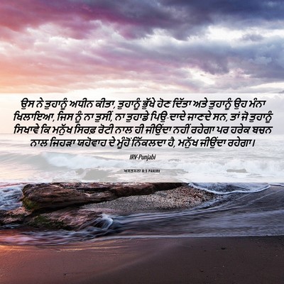 Picture 06 - ਅਸਤਸਨਾ 8:3 PANIRV - ਉਸ ਨੇ ਤੁਹਾਨੂੰ ਅਧੀਨ - Bible Verse Picture