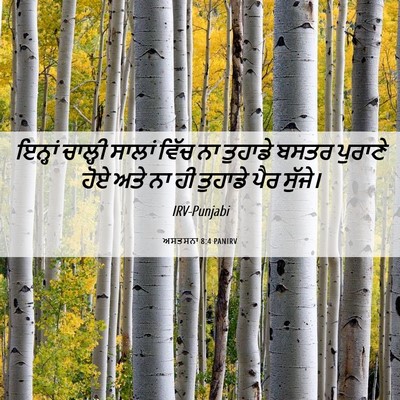 Picture 06 - ਅਸਤਸਨਾ 8:4 PANIRV - ਇਨ੍ਹਾਂ ਚਾਲ੍ਹੀ - Bible Verse Picture