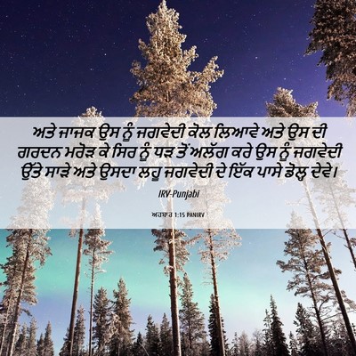 Picture 06 - ਅਹਬਾਰ 1:15 PANIRV - ਅਤੇ ਜਾਜਕ ਉਸ ਨੂੰ - Bible Verse Picture