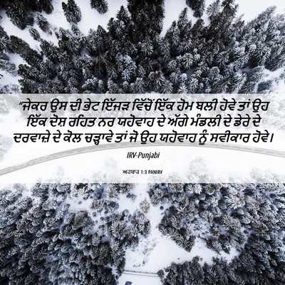 Picture 06 - ਅਹਬਾਰ 1:3 PANIRV - “ਜੇਕਰ ਉਸ ਦੀ ਭੇਟ - Bible Verse Picture