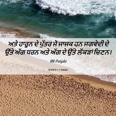Picture 06 - ਅਹਬਾਰ 1:7 PANIRV - ਅਤੇ ਹਾਰੂਨ ਦੇ ਪੁੱਤਰ - Bible Verse Picture