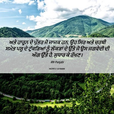 Picture 06 - ਅਹਬਾਰ 1:8 PANIRV - ਅਤੇ ਹਾਰੂਨ ਦੇ ਪੁੱਤਰ - Bible Verse Picture