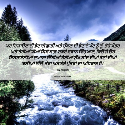 Picture 06 - ਅਹਬਾਰ 10:14 PANIRV - ਪਰ ਹਿਲਾਉਣ ਦੀ ਭੇਟ ਦੀ - Bible Verse Picture