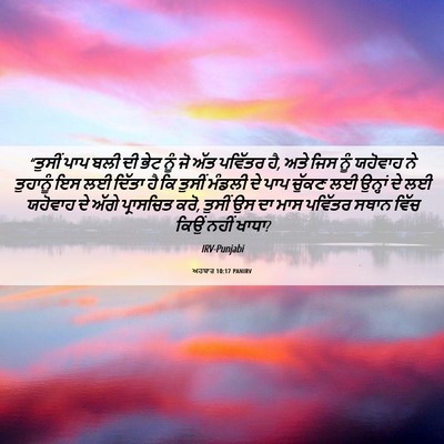 Picture 06 - ਅਹਬਾਰ 10:17 PANIRV - “ਤੁਸੀਂ ਪਾਪ ਬਲੀ ਦੀ - Bible Verse Picture