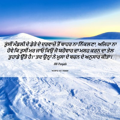 Picture 06 - ਅਹਬਾਰ 10:7 PANIRV - ਤੁਸੀਂ ਮੰਡਲੀ ਦੇ - Bible Verse Picture