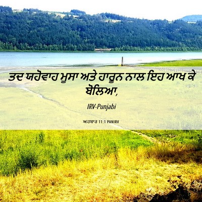 Picture 06 - ਅਹਬਾਰ 11:1 PANIRV - ਤਦ ਯਹੋਵਾਹ ਮੂਸਾ ਅਤੇ - Bible Verse Picture