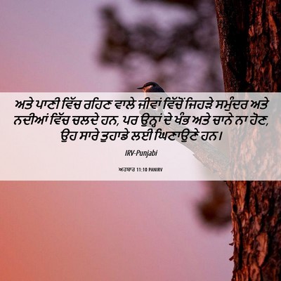 Picture 06 - ਅਹਬਾਰ 11:10 PANIRV - ਅਤੇ ਪਾਣੀ ਵਿੱਚ ਰਹਿਣ - Bible Verse Picture