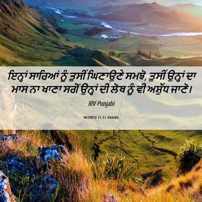 Picture 06 - ਅਹਬਾਰ 11:11 PANIRV - ਇਨ੍ਹਾਂ ਸਾਰਿਆਂ ਨੂੰ - Bible Verse Picture