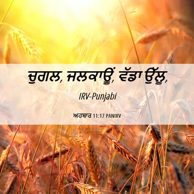 Picture 06 - ਅਹਬਾਰ 11:17 PANIRV - ਚੁਗਲ, ਜਲਕਾਊਂ, ਵੱਡਾ - Bible Verse Picture