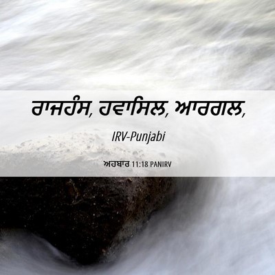 Picture 06 - ਅਹਬਾਰ 11:18 PANIRV - ਰਾਜਹੰਸ, ਹਵਾਸਿਲ, - Bible Verse Picture