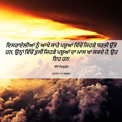 Picture 06 - ਅਹਬਾਰ 11:2 PANIRV - ਇਸਰਾਏਲੀਆਂ ਨੂੰ ਆਖੋ - Bible Verse Picture