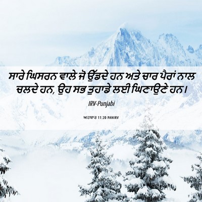 Picture 06 - ਅਹਬਾਰ 11:20 PANIRV - ਸਾਰੇ ਘਿਸਰਨ ਵਾਲੇ ਜੋ - Bible Verse Picture