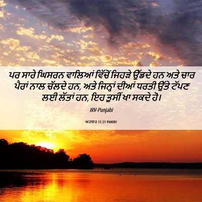Picture 06 - ਅਹਬਾਰ 11:21 PANIRV - ਪਰ ਸਾਰੇ ਘਿਸਰਨ - Bible Verse Picture
