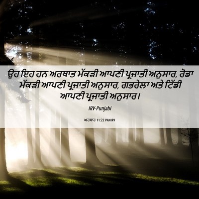 Picture 06 - ਅਹਬਾਰ 11:22 PANIRV - ਉਹ ਇਹ ਹਨ ਅਰਥਾਤ - Bible Verse Picture
