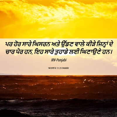 Picture 06 - ਅਹਬਾਰ 11:23 PANIRV - ਪਰ ਹੋਰ ਸਾਰੇ ਘਿਸਰਨ - Bible Verse Picture