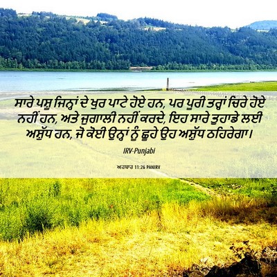 Picture 06 - ਅਹਬਾਰ 11:26 PANIRV - ਸਾਰੇ ਪਸ਼ੂ ਜਿਨ੍ਹਾਂ - Bible Verse Picture