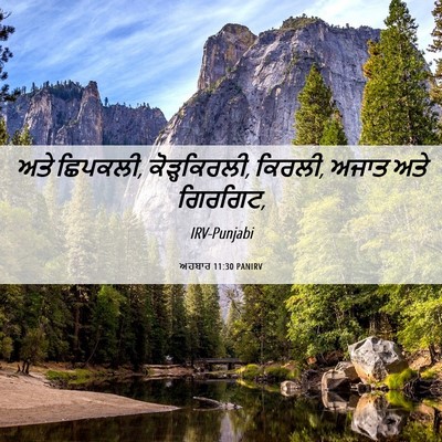 Picture 06 - ਅਹਬਾਰ 11:30 PANIRV - ਅਤੇ ਛਿਪਕਲੀ, - Bible Verse Picture