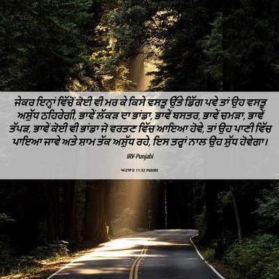 Picture 06 - ਅਹਬਾਰ 11:32 PANIRV - ਜੇਕਰ ਇਨ੍ਹਾਂ - Bible Verse Picture
