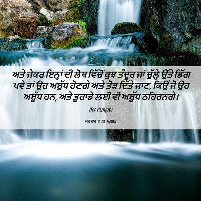Picture 06 - ਅਹਬਾਰ 11:35 PANIRV - ਅਤੇ ਜੇਕਰ ਇਨ੍ਹਾਂ ਦੀ - Bible Verse Picture
