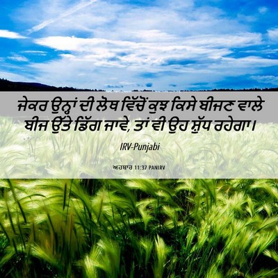 Picture 06 - ਅਹਬਾਰ 11:37 PANIRV - ਜੇਕਰ ਉਨ੍ਹਾਂ ਦੀ ਲੋਥ - Bible Verse Picture