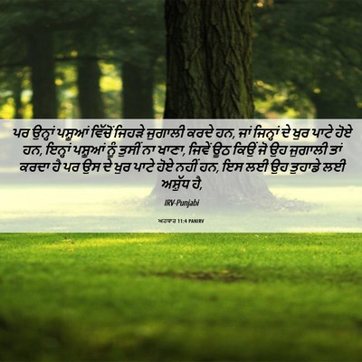 Picture 06 - ਅਹਬਾਰ 11:4 PANIRV - ਪਰ ਉਨ੍ਹਾਂ ਪਸ਼ੂਆਂ - Bible Verse Picture
