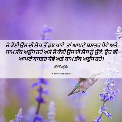Picture 06 - ਅਹਬਾਰ 11:40 PANIRV - ਜੋ ਕੋਈ ਉਸ ਦੀ ਲੋਥ - Bible Verse Picture
