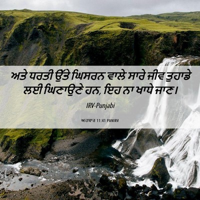 Picture 06 - ਅਹਬਾਰ 11:41 PANIRV - ਅਤੇ ਧਰਤੀ ਉੱਤੇ - Bible Verse Picture
