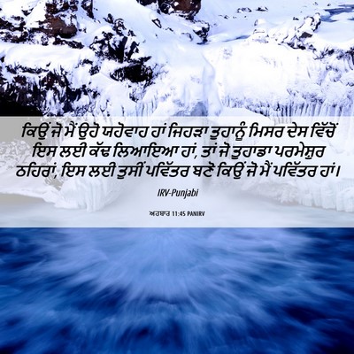 Picture 06 - ਅਹਬਾਰ 11:45 PANIRV - ਕਿਉਂ ਜੋ ਮੈਂ ਉਹੋ - Bible Verse Picture