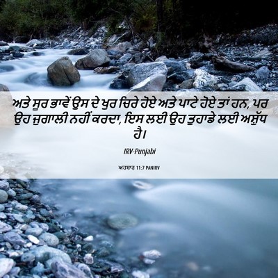 Picture 06 - ਅਹਬਾਰ 11:7 PANIRV - ਅਤੇ ਸੂਰ ਭਾਵੇਂ ਉਸ ਦੇ - Bible Verse Picture