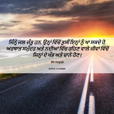 Picture 06 - ਅਹਬਾਰ 11:9 PANIRV - ਜਿੰਨ੍ਹੇ ਜਲ-ਜੰਤੂ ਹਨ, - Bible Verse Picture