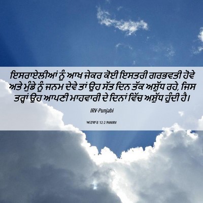 Picture 06 - ਅਹਬਾਰ 12:2 PANIRV - ਇਸਰਾਏਲੀਆਂ ਨੂੰ ਆਖ - Bible Verse Picture