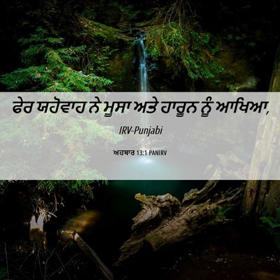 Picture 06 - ਅਹਬਾਰ 13:1 PANIRV - ਫੇਰ ਯਹੋਵਾਹ ਨੇ ਮੂਸਾ - Bible Verse Picture
