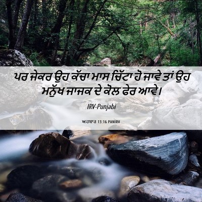 Picture 06 - ਅਹਬਾਰ 13:16 PANIRV - ਪਰ ਜੇਕਰ ਉਹ ਕੱਚਾ ਮਾਸ - Bible Verse Picture