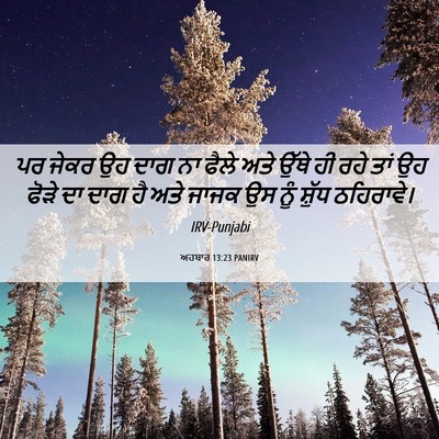 Picture 06 - ਅਹਬਾਰ 13:23 PANIRV - ਪਰ ਜੇਕਰ ਉਹ ਦਾਗ ਨਾ - Bible Verse Picture