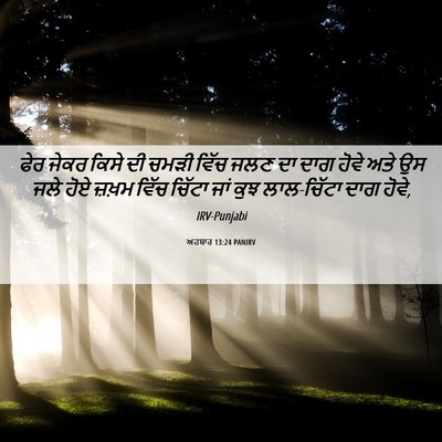 Picture 06 - ਅਹਬਾਰ 13:24 PANIRV - ਫੇਰ ਜੇਕਰ ਕਿਸੇ ਦੀ - Bible Verse Picture