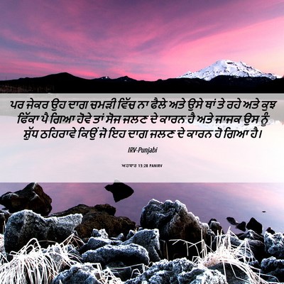 Picture 06 - ਅਹਬਾਰ 13:28 PANIRV - ਪਰ ਜੇਕਰ ਉਹ ਦਾਗ ਚਮੜੀ - Bible Verse Picture